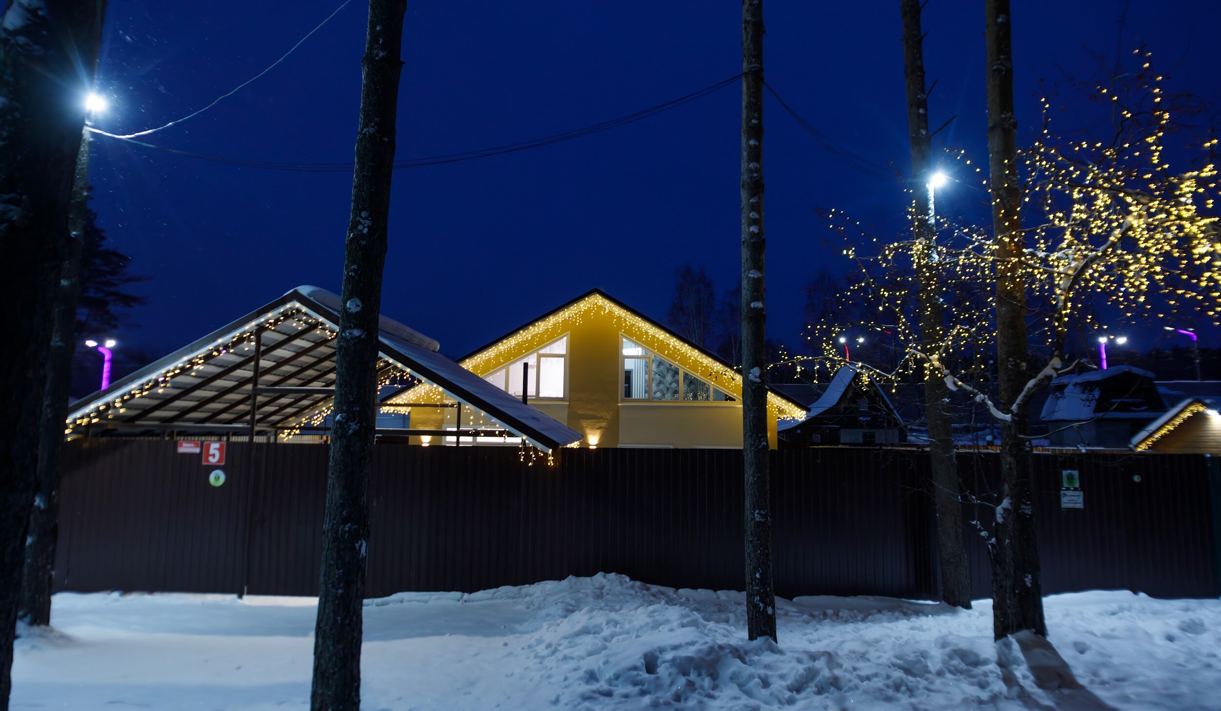 Фото Буревестник