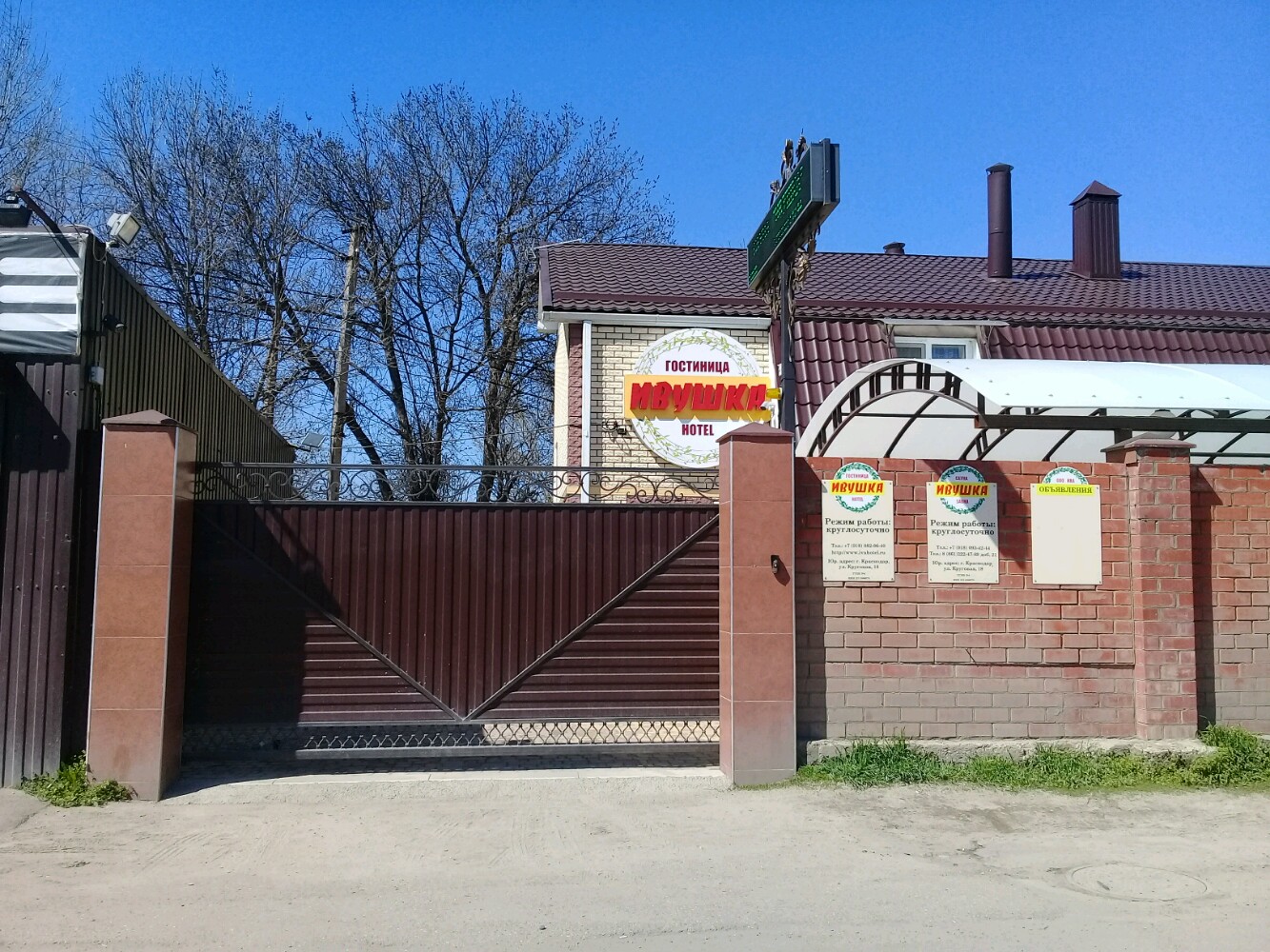 Фото Ивушка