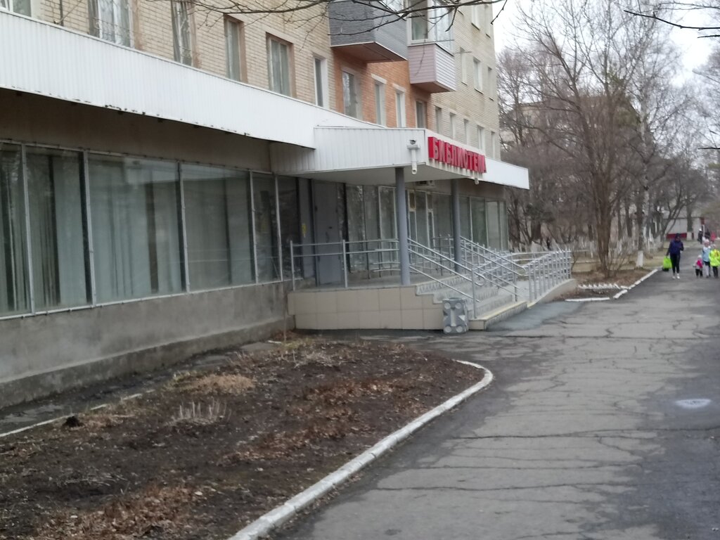 Библиотека Городская центральная библиотека, Большой Камень, фото