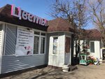 Life Flora (Guryeva Street, 4Б), flower shop