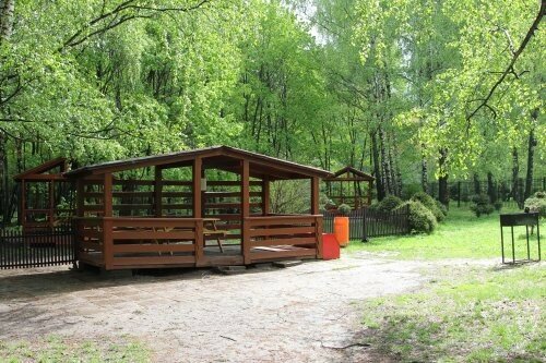 Бирюлевский дендропарк пикник