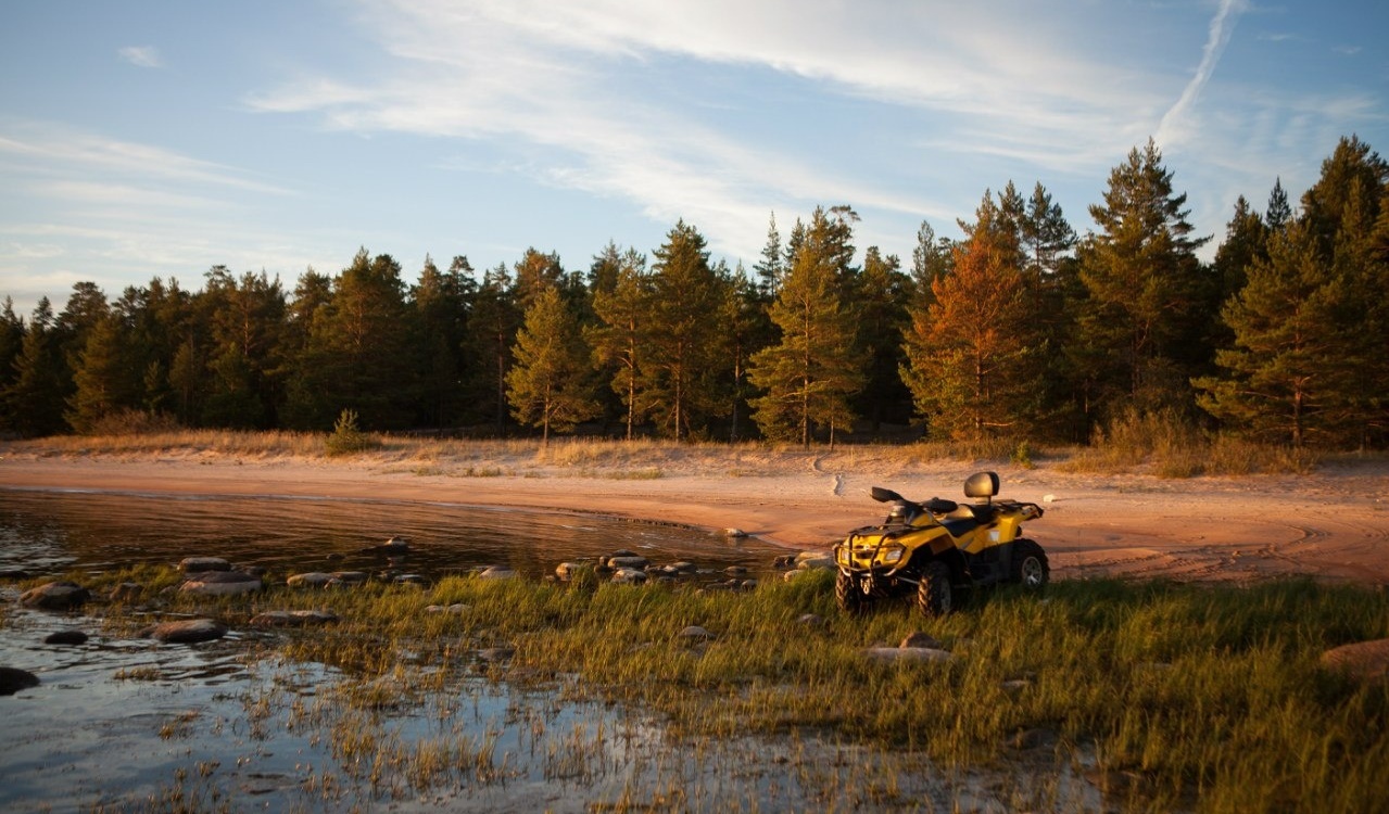 Фото Villa Vitele