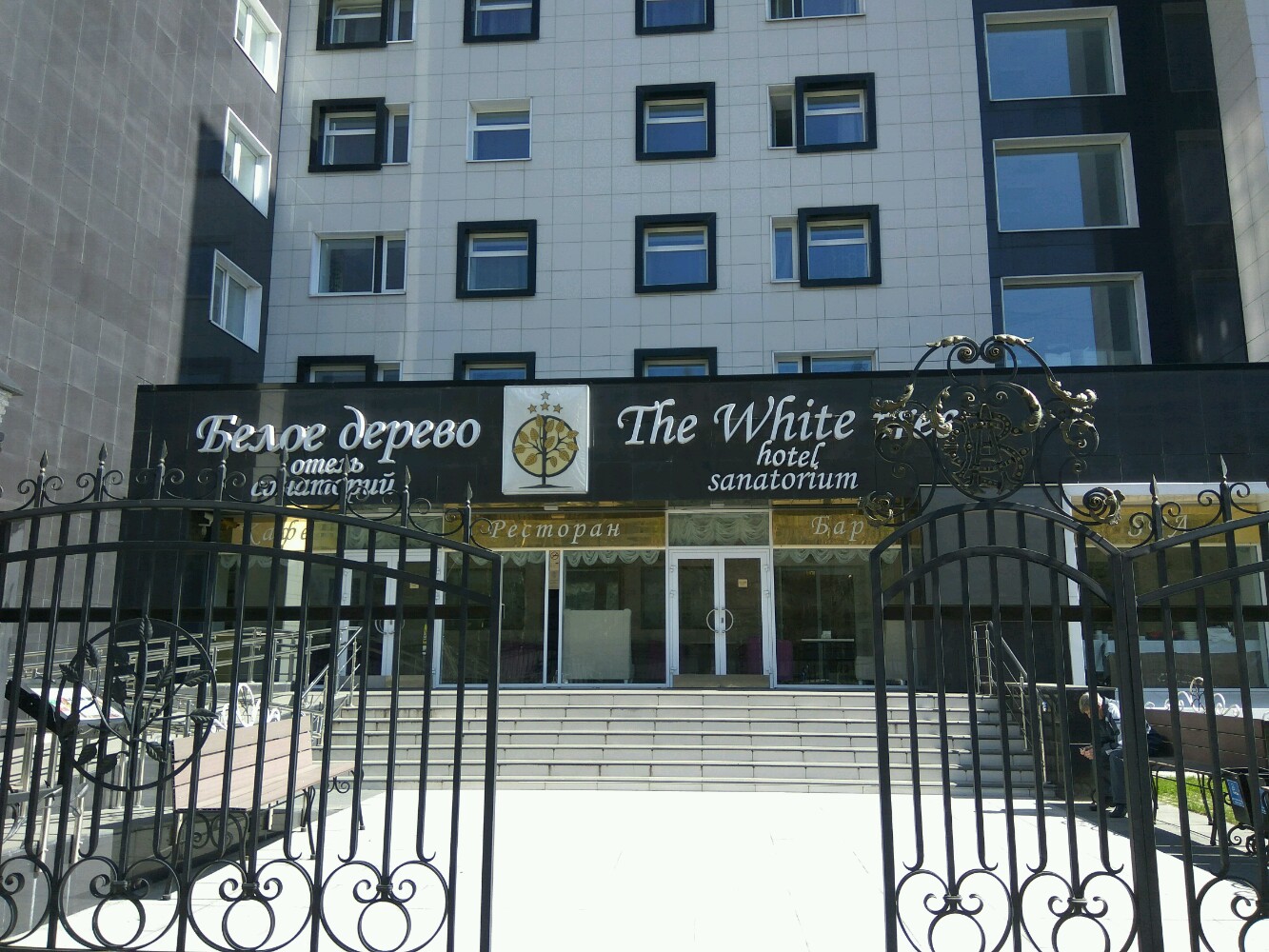 Фото Белое Дерево