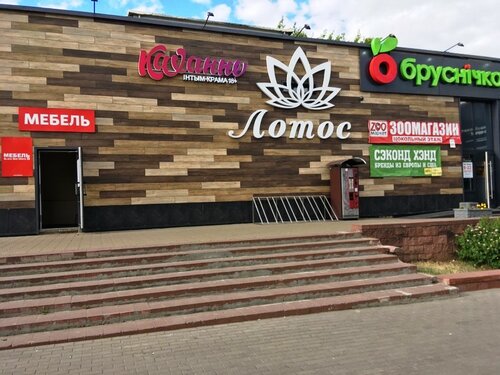 Бри Белла Никки Белле жалаңаш