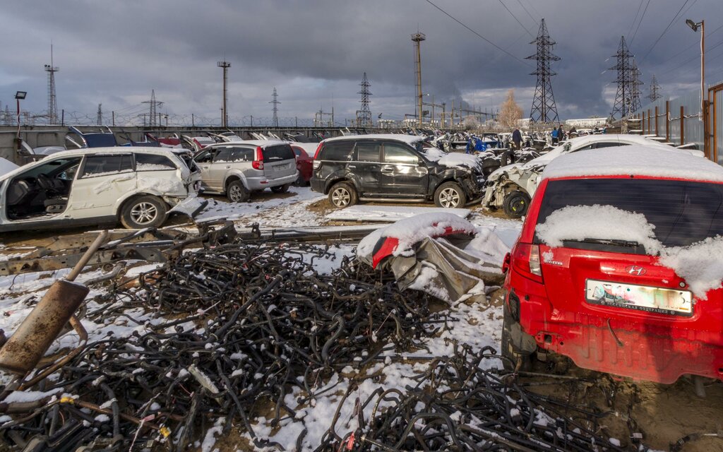 Car disassembly Avtoliga-NN, Nizhny Novgorod Oblast', photo