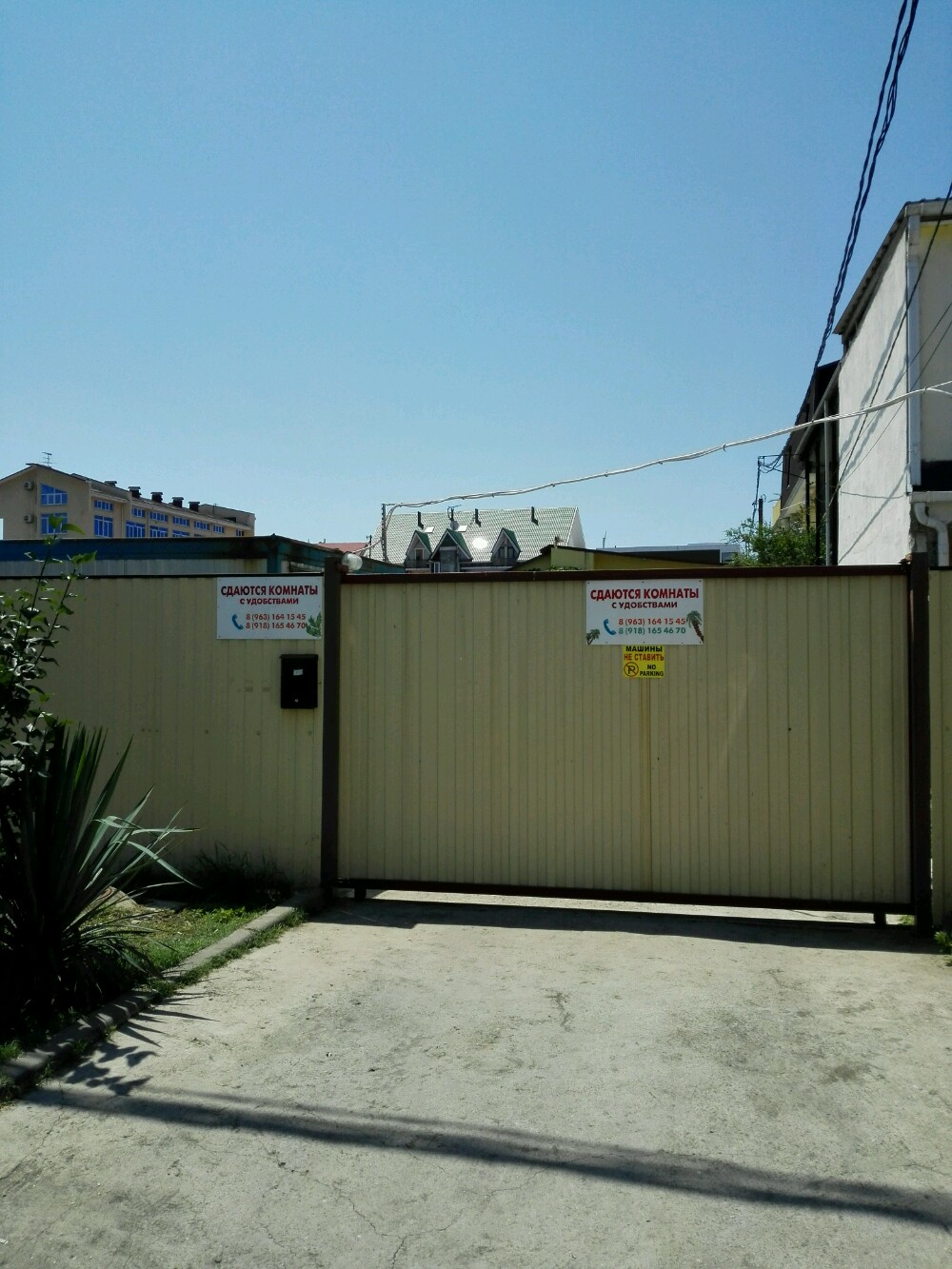 Фото Каролина