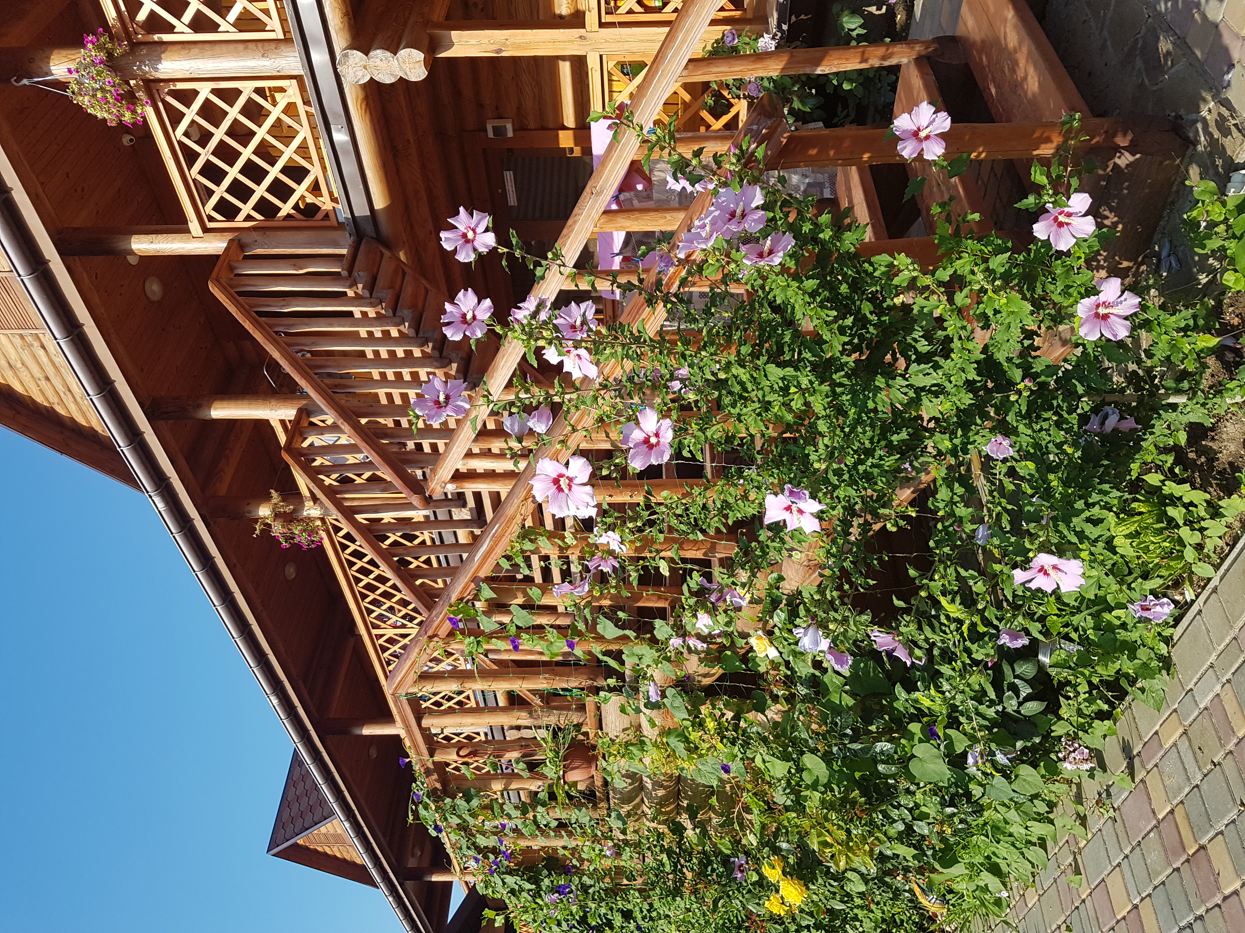 Фото Одиссей