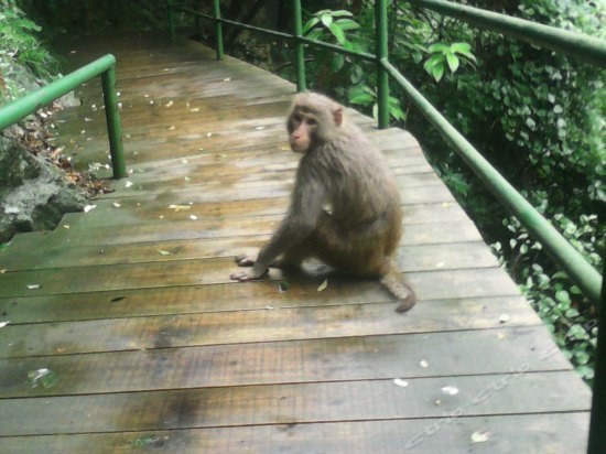 Фото Yunchu Xiaoju Farmhouse