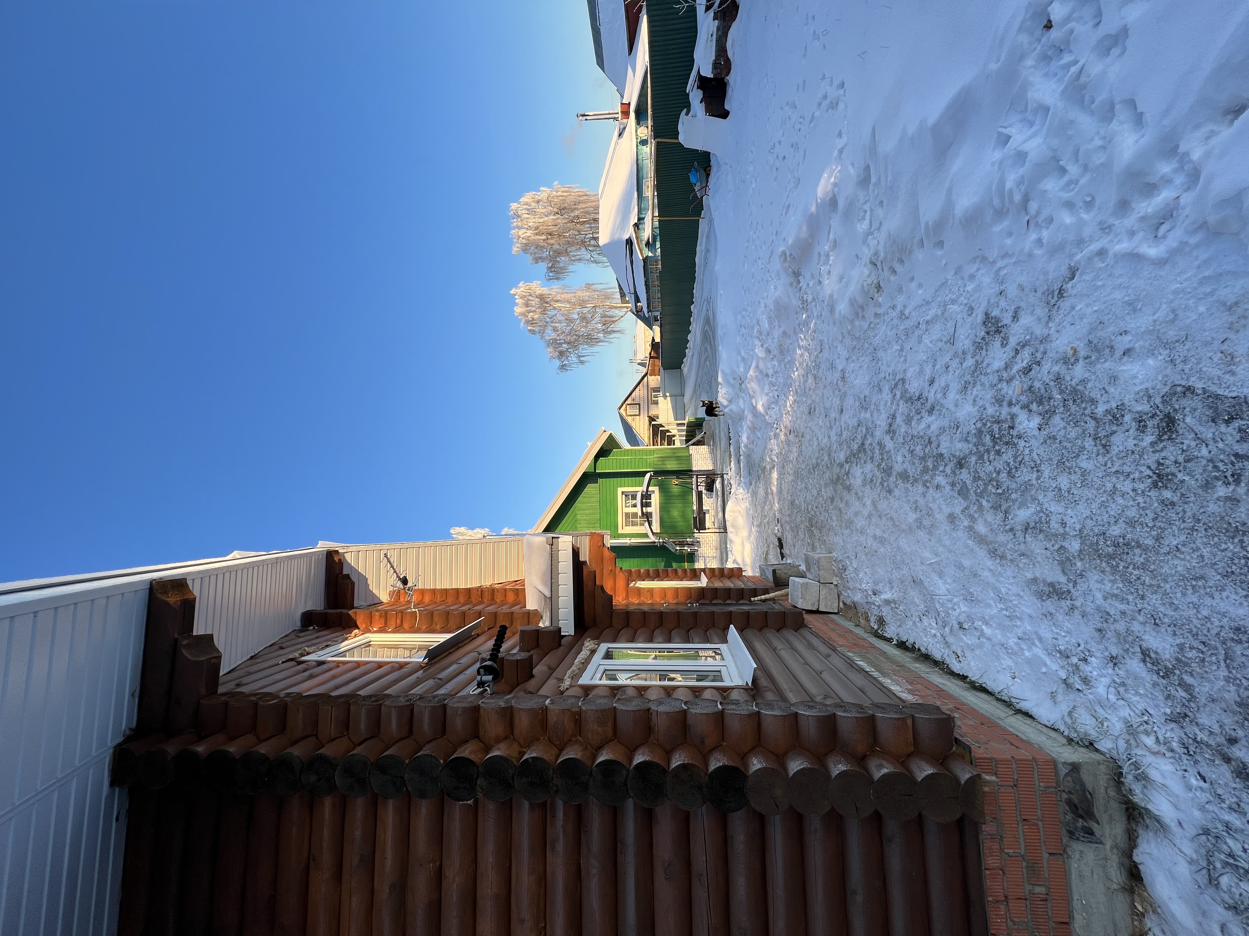 Фото Медоед