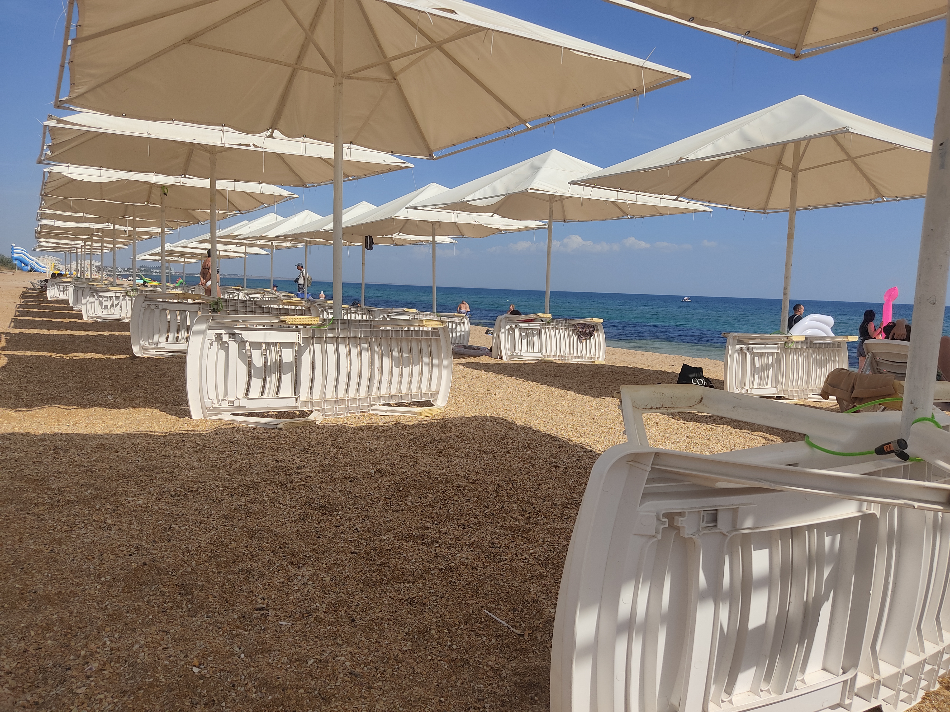 Фото У Алексея