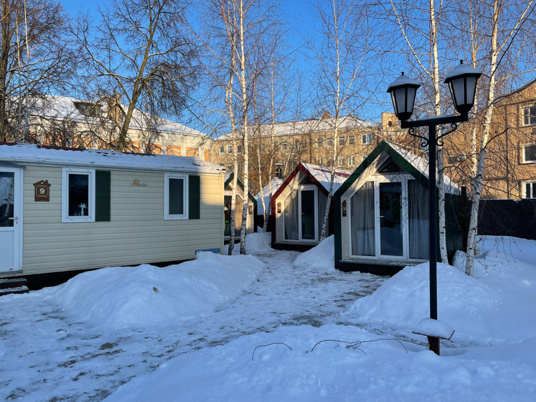 Фото Два гуся