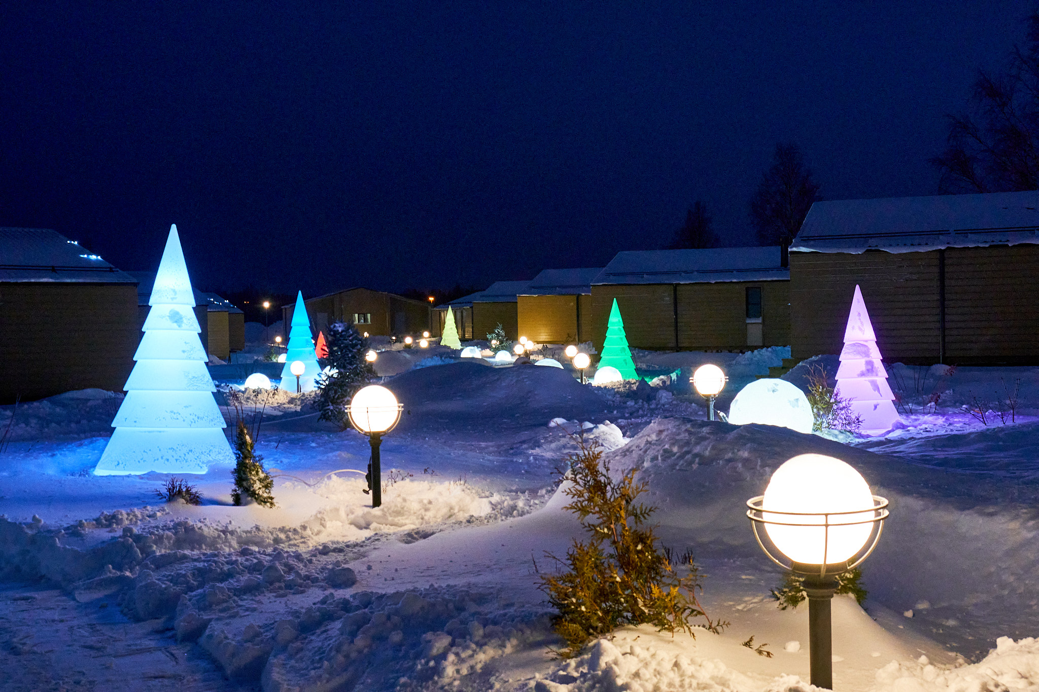 Фото Земляничные Поляны