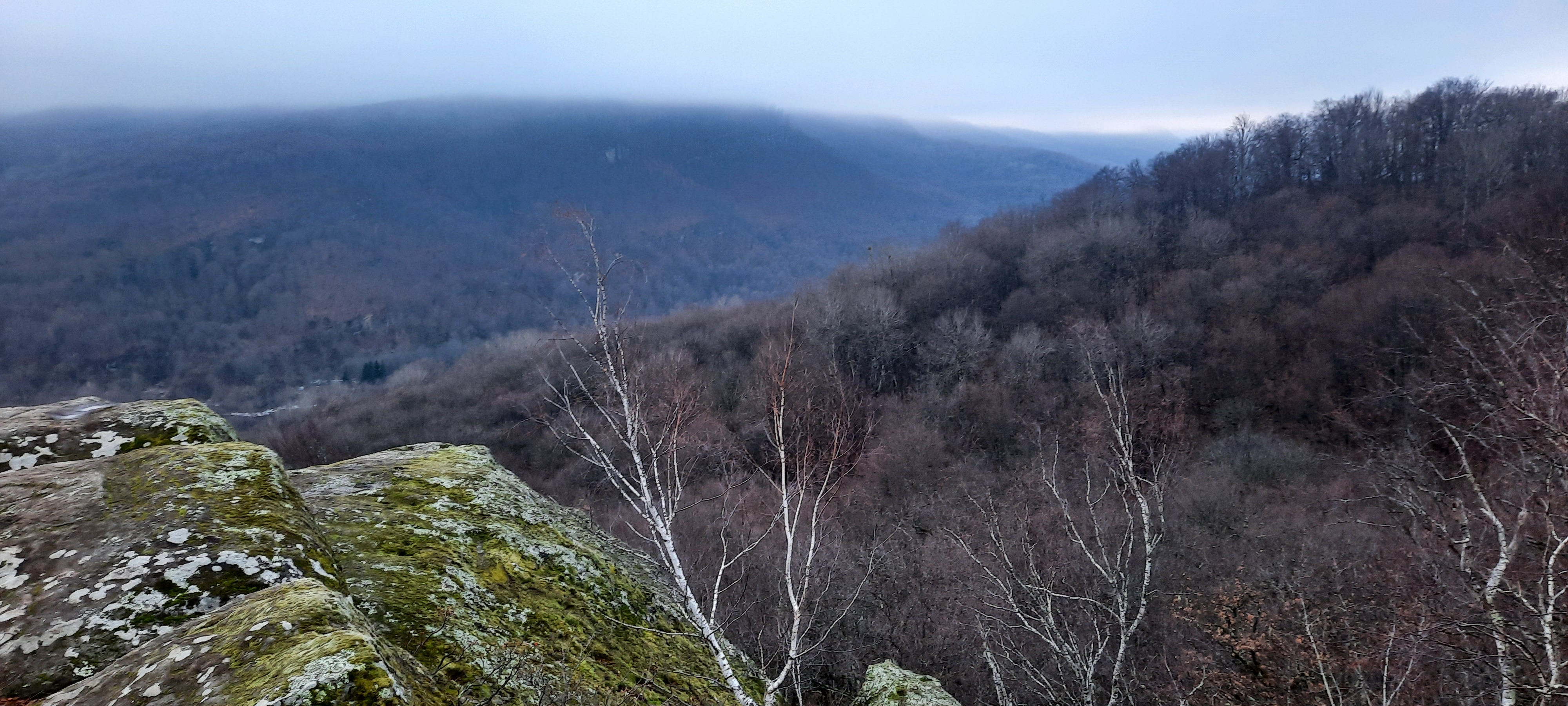 Фото Форпост