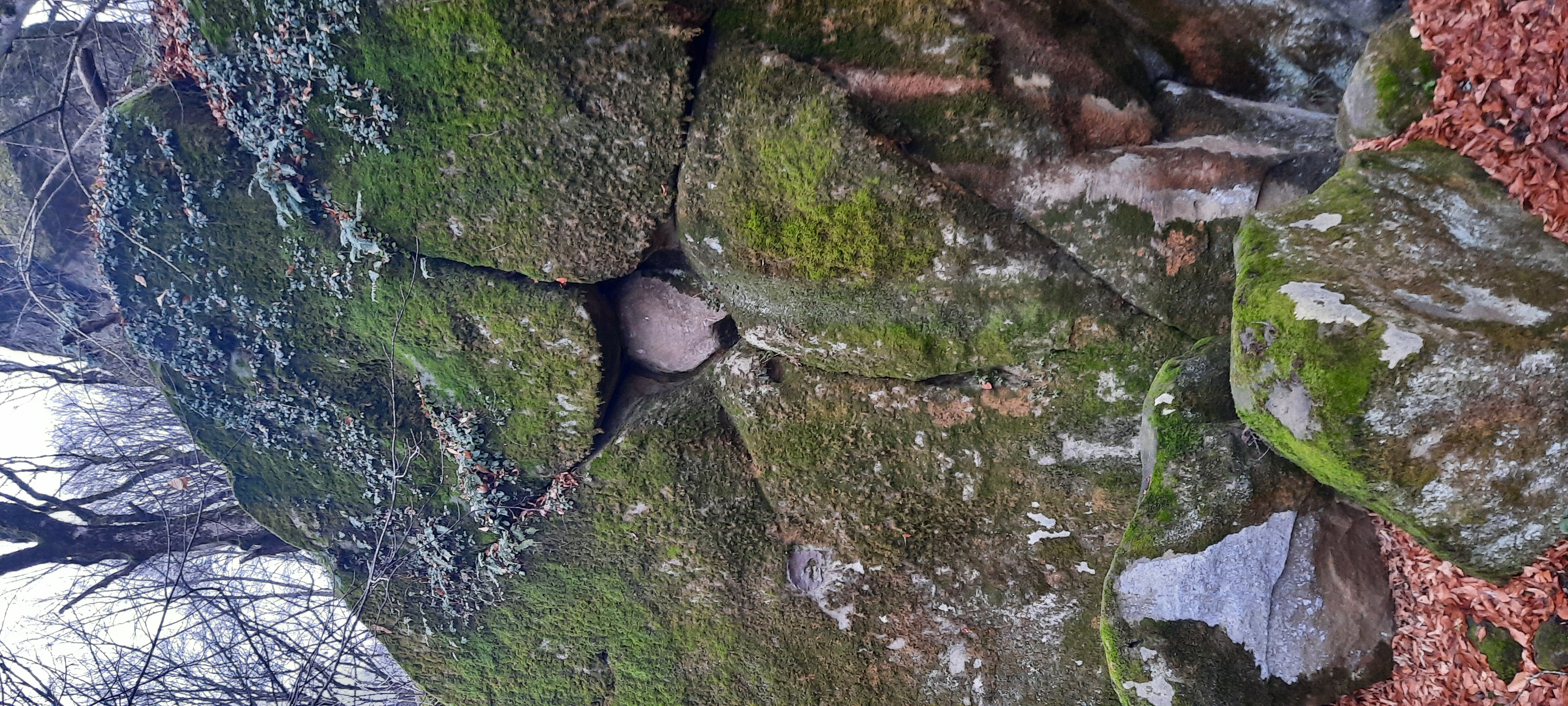 Фото Форпост