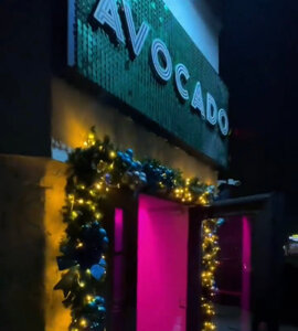 Avocado (Moskovskaya ulitsa, 19), bar, pub