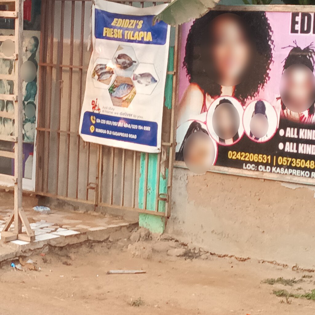 Fish and seafood Edidzi's Fresh Tilapia, Earth, photo