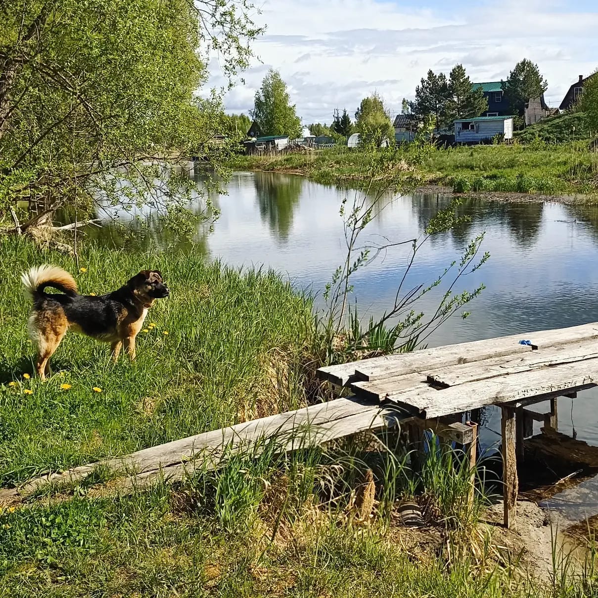 Фото Оберег