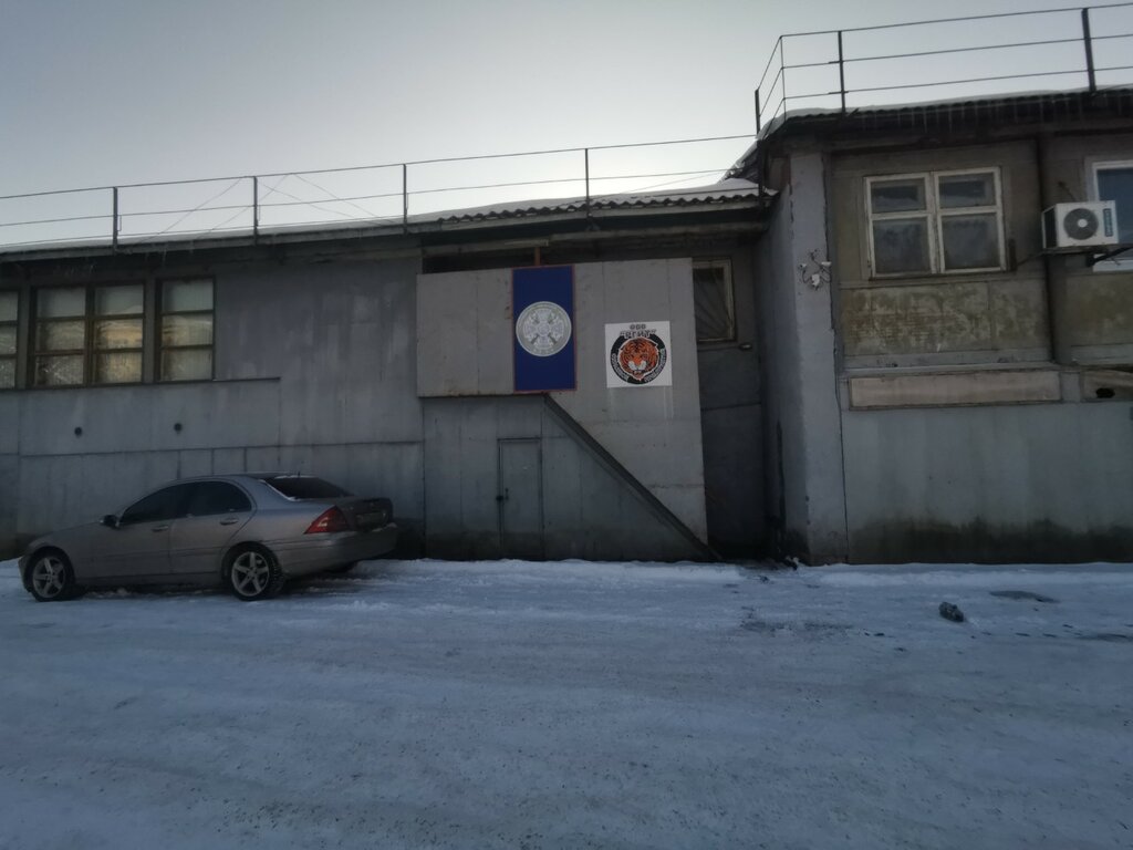 Security company Rgit, Pskov, photo