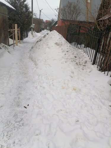 Садоводческие товарищества и общества Коммунальник, Подольск, фото