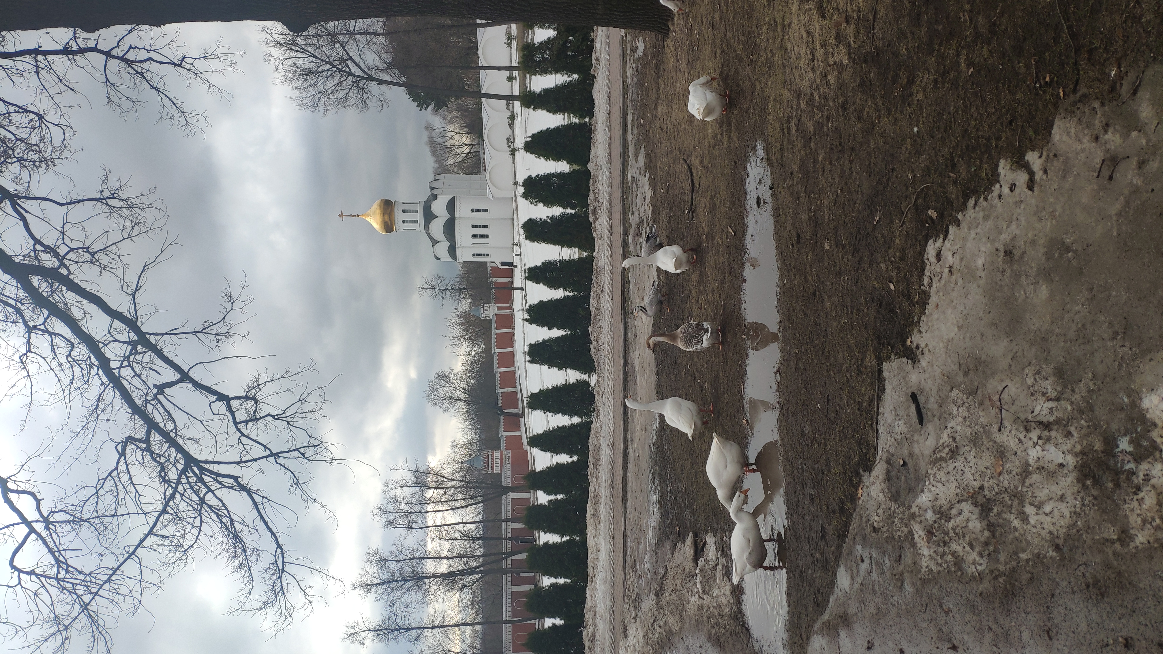 Фото Угреша