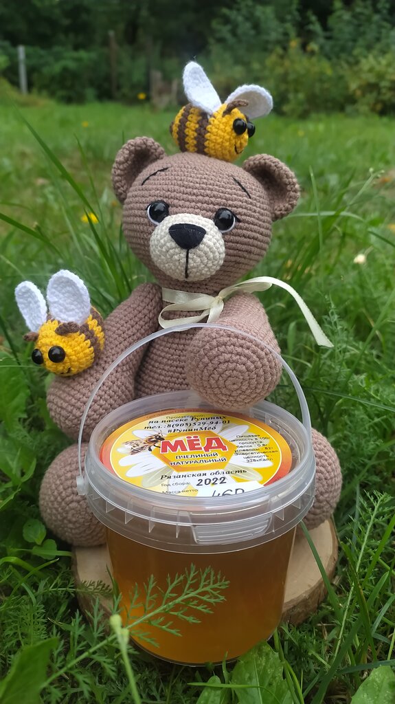 Honey and beekeeping Runin Honey, Moscow and Moscow Oblast, photo