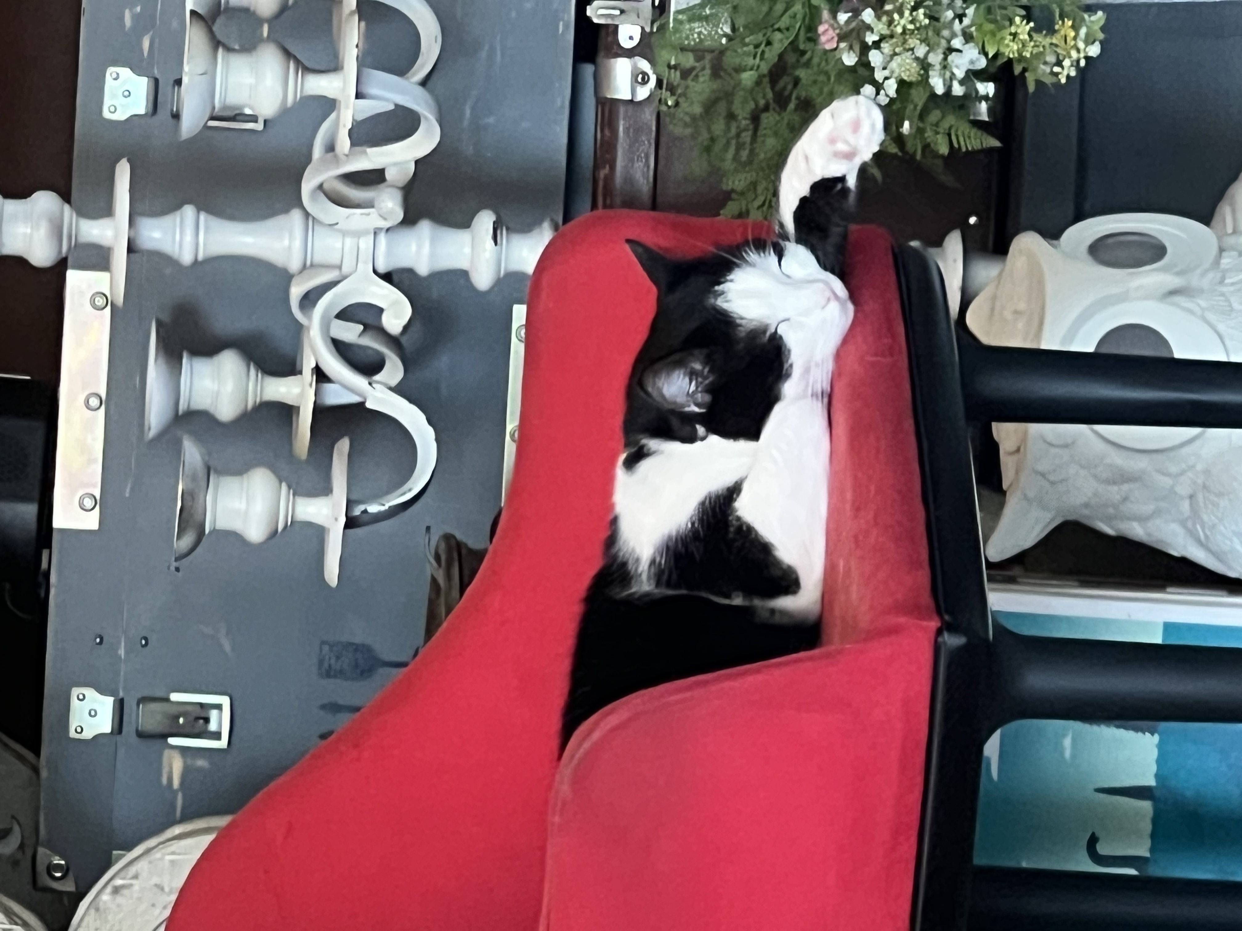 Фото Фабрика