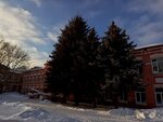 Bogorodsky Politekhnichesky Tekhnikum (ulitsa Sverdlova, 3), colegio técnico