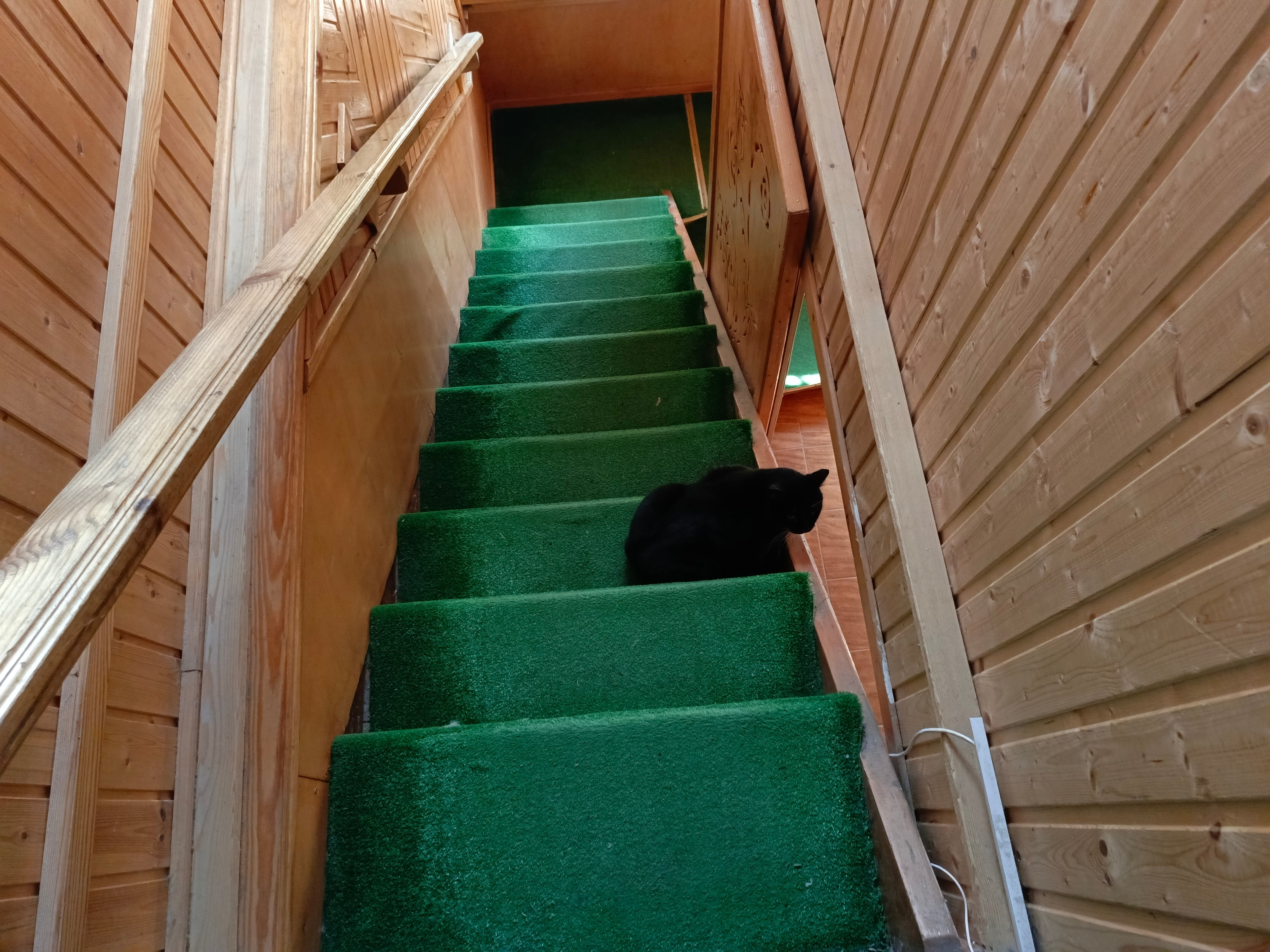 Фото Русский Север