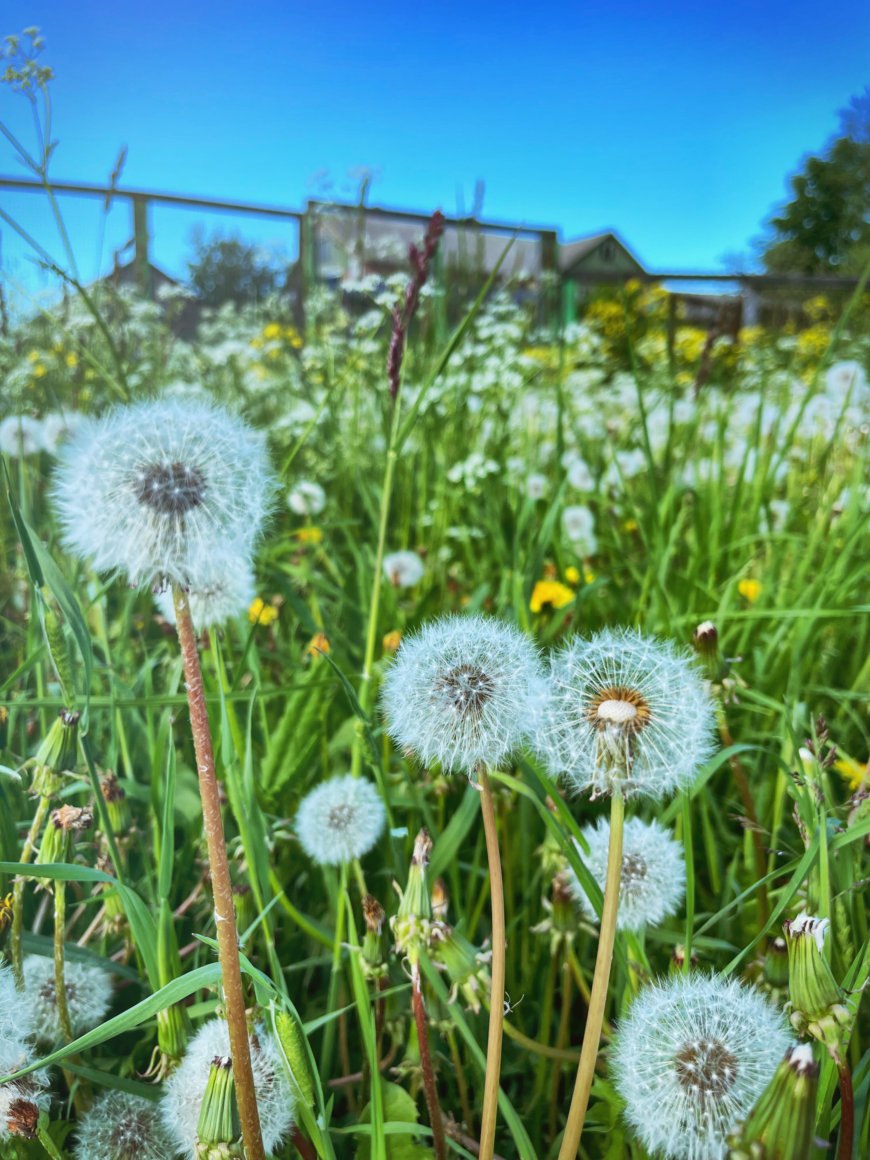Фото Талвиоя