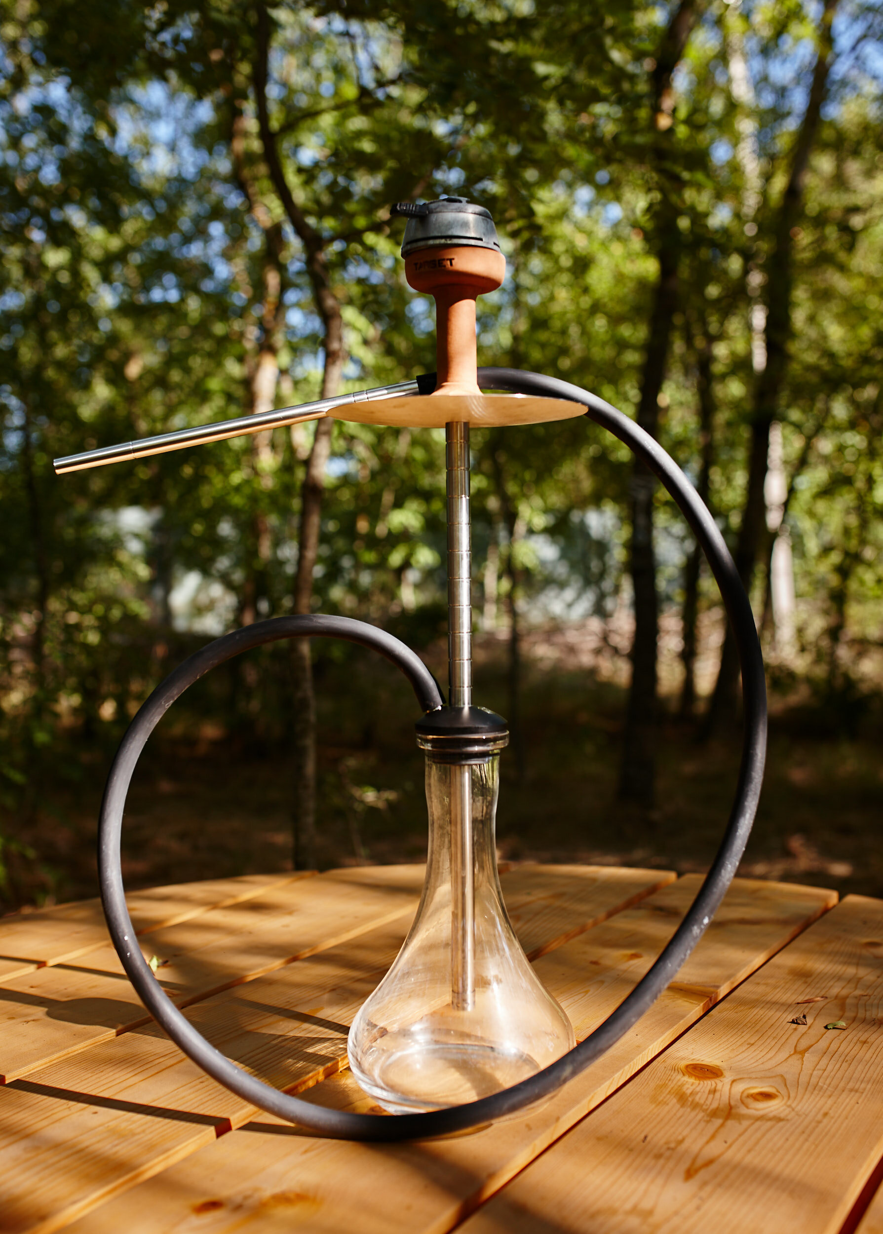 Фото Тихий Лес