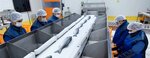Interplast (İzmir, Bornova, Doğanlar Mah., Okul Sok., 21), medical supply store