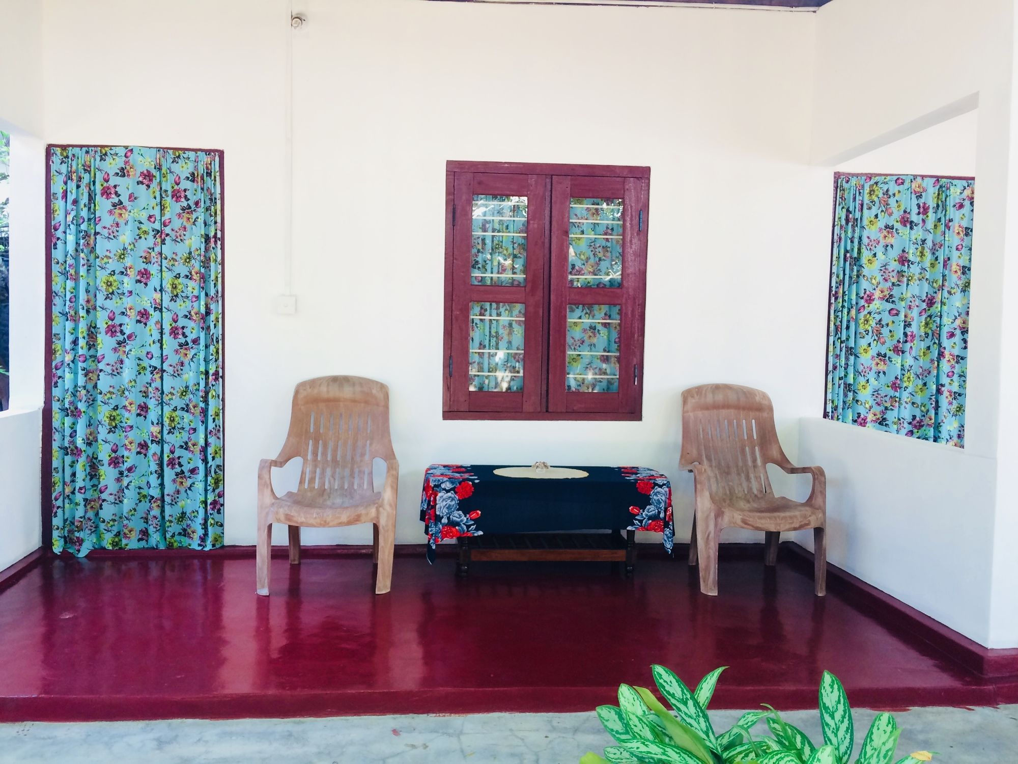 Фото Tropicana homestay