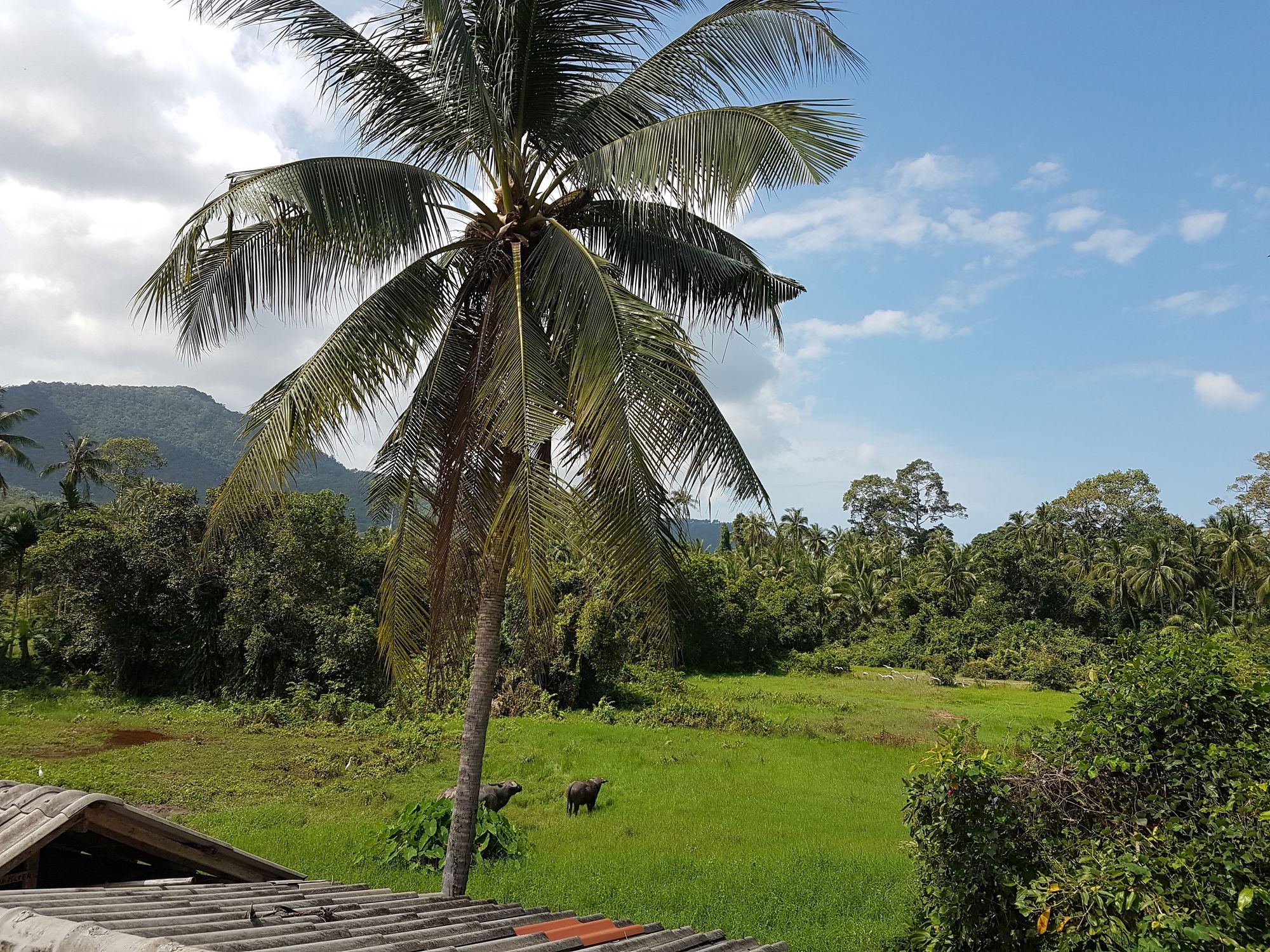 Фото Samui Zenity Hotel