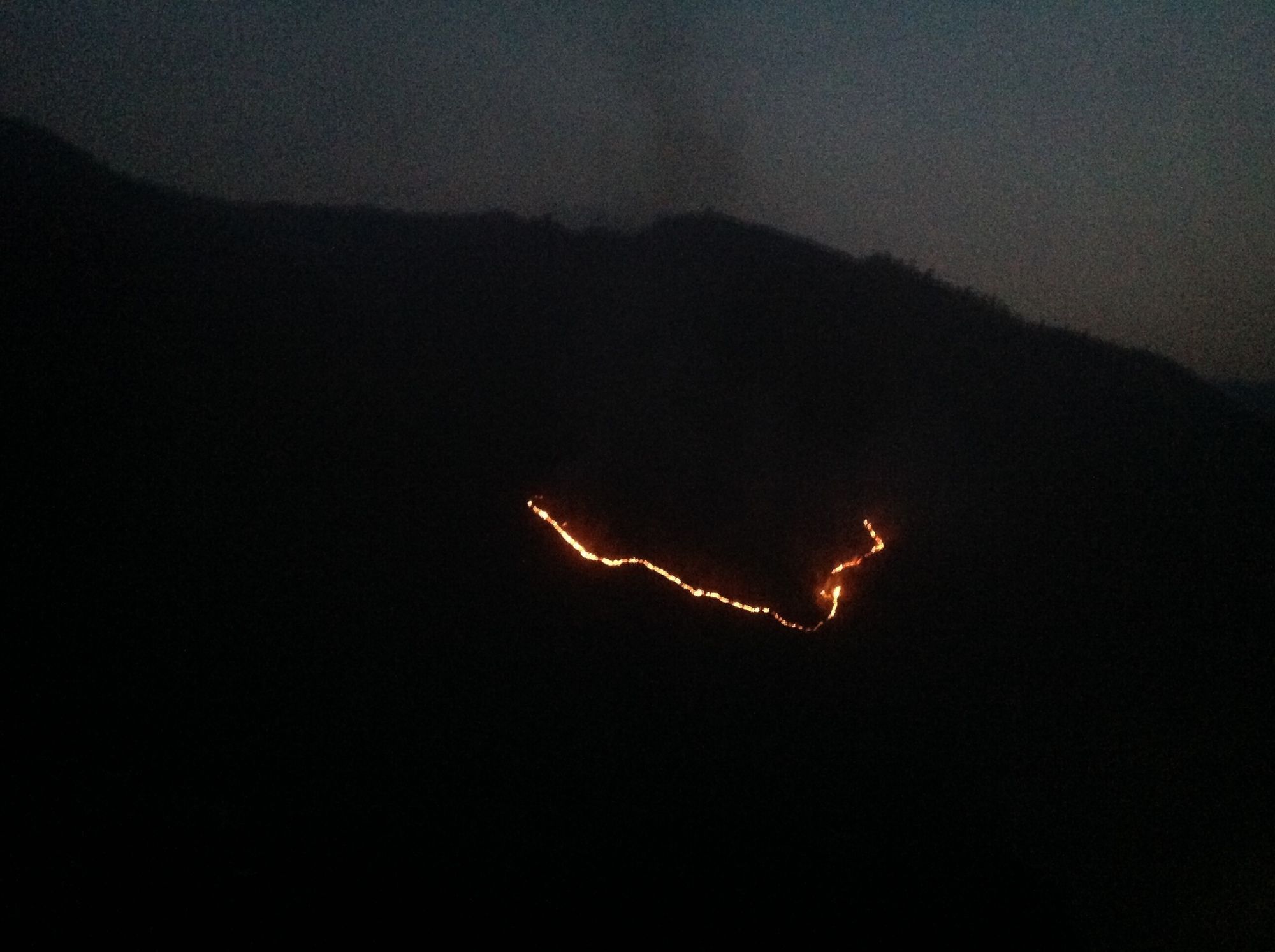 Фото Woodsvilla Resort