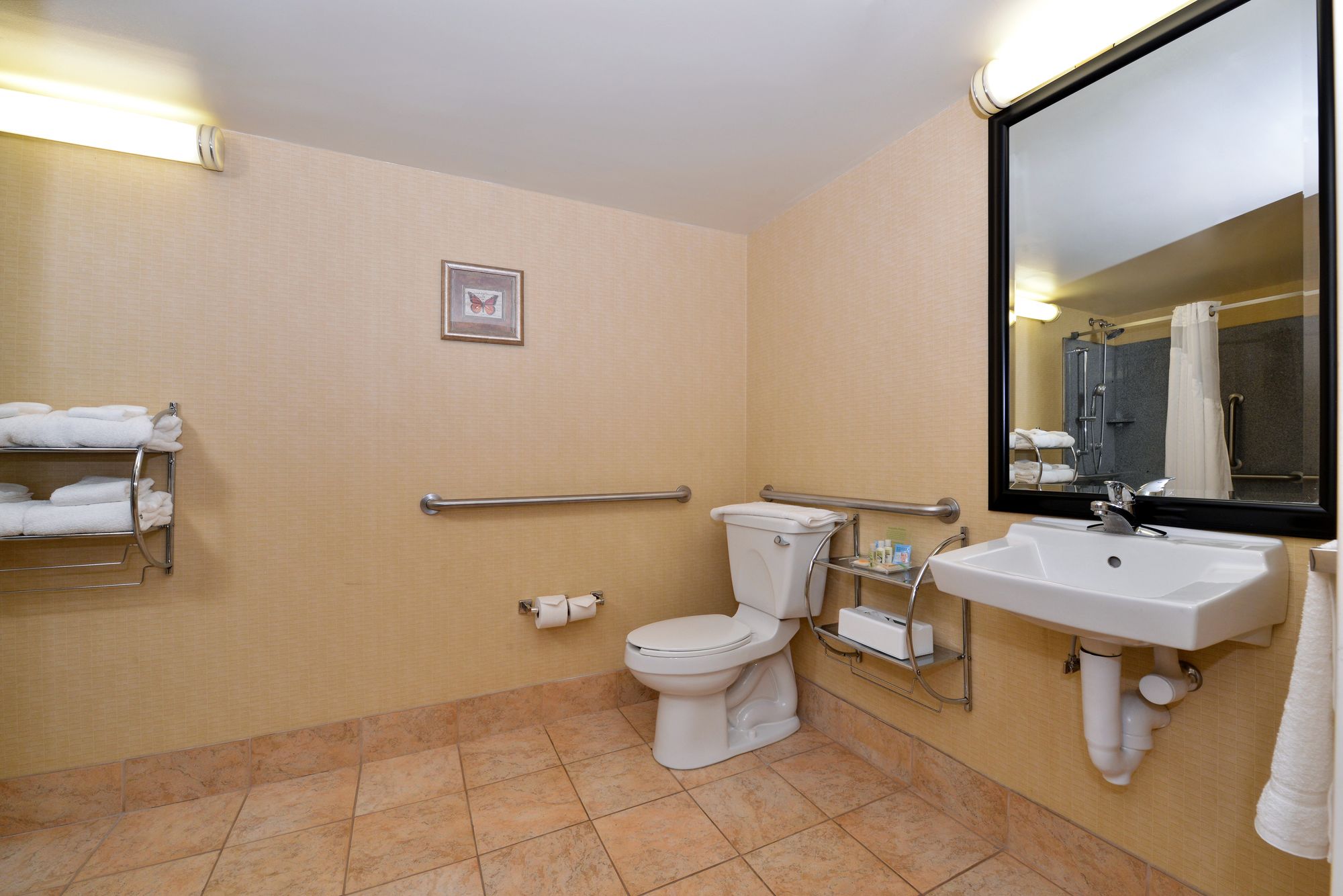 Фото Holiday Inn Martinsburg, an Ihg Hotel