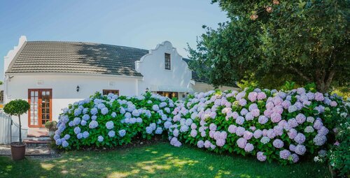 Гостиница Aan de Oever Guesthouse в Свеллендаме