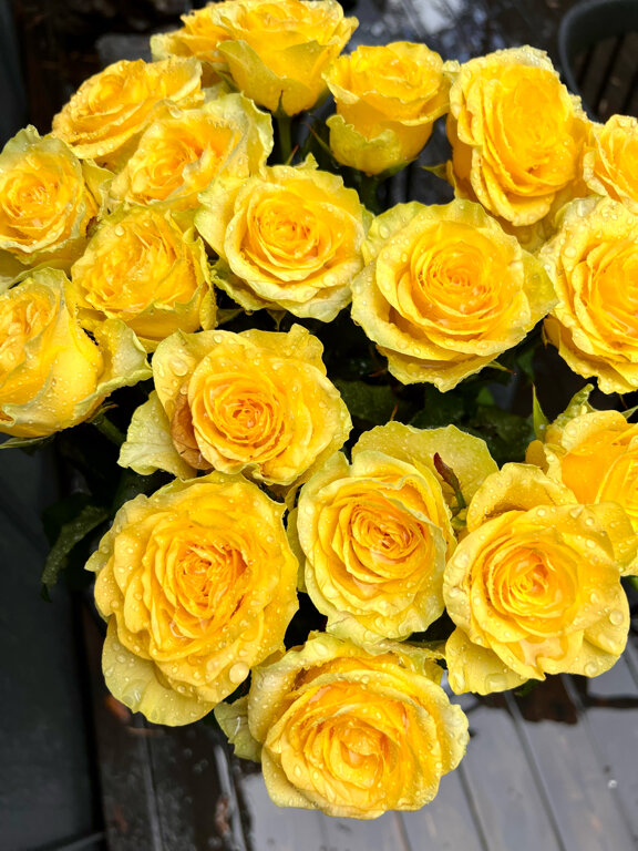 Фото Блэк пайн