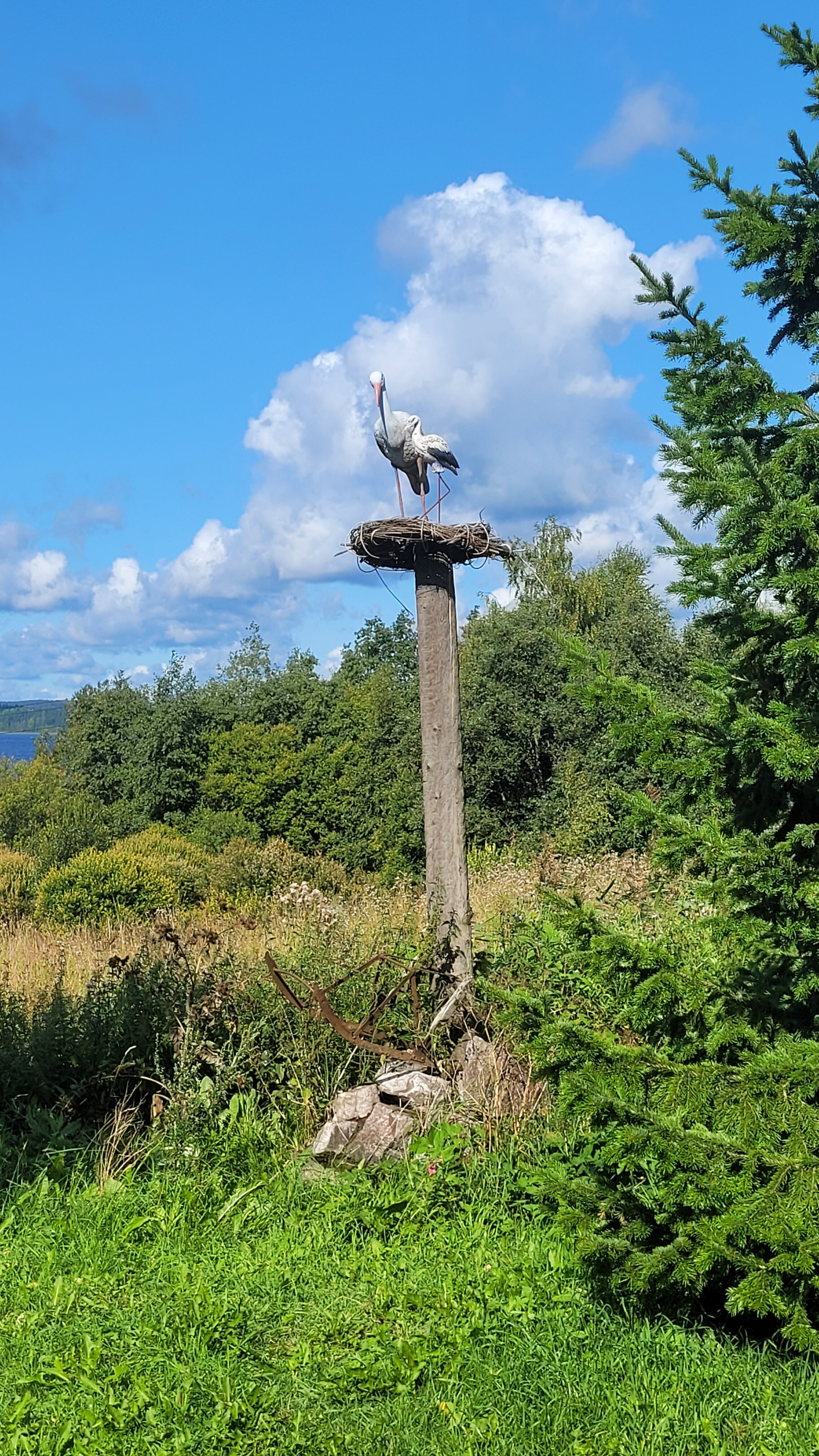 Фото Дом у озера Хюмпелянъярви