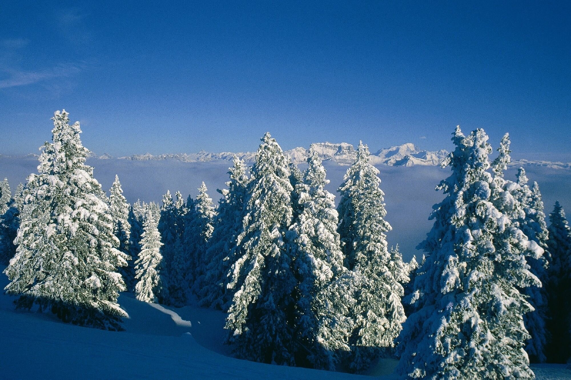 Фото Mercure Annecy Centre