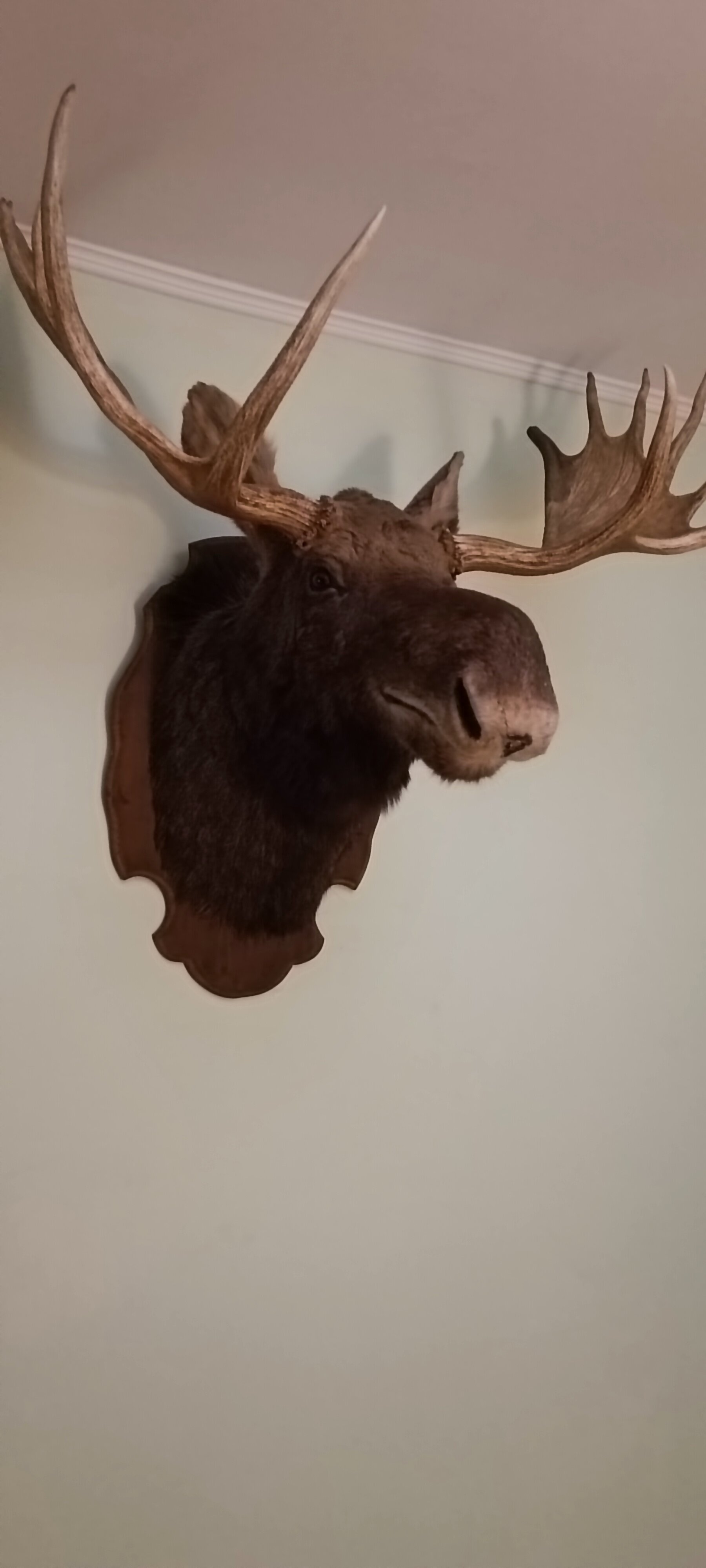 Фото Три охотника