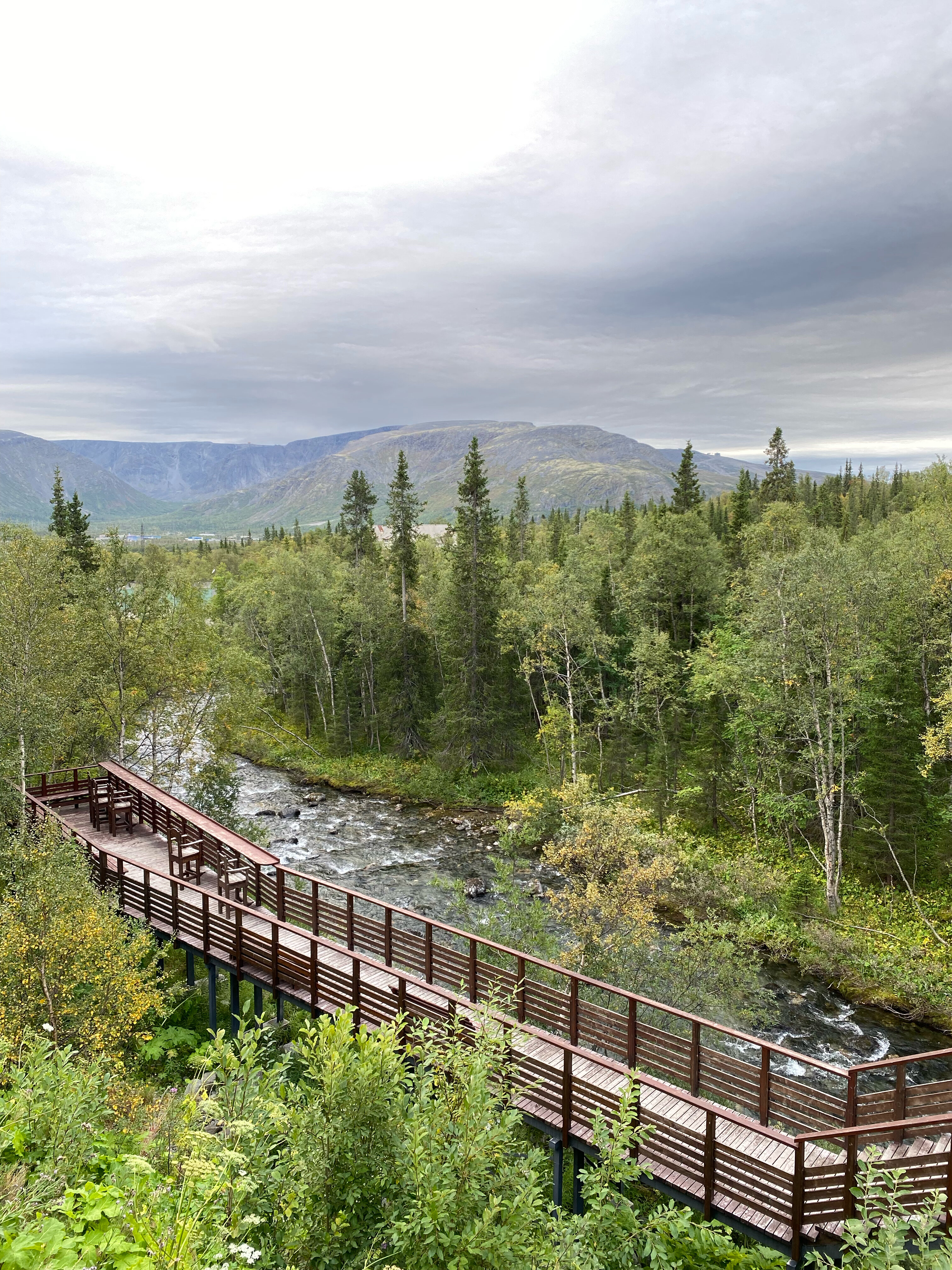 Фото Тирвас