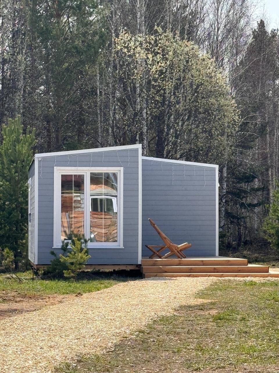 Фото Forest time