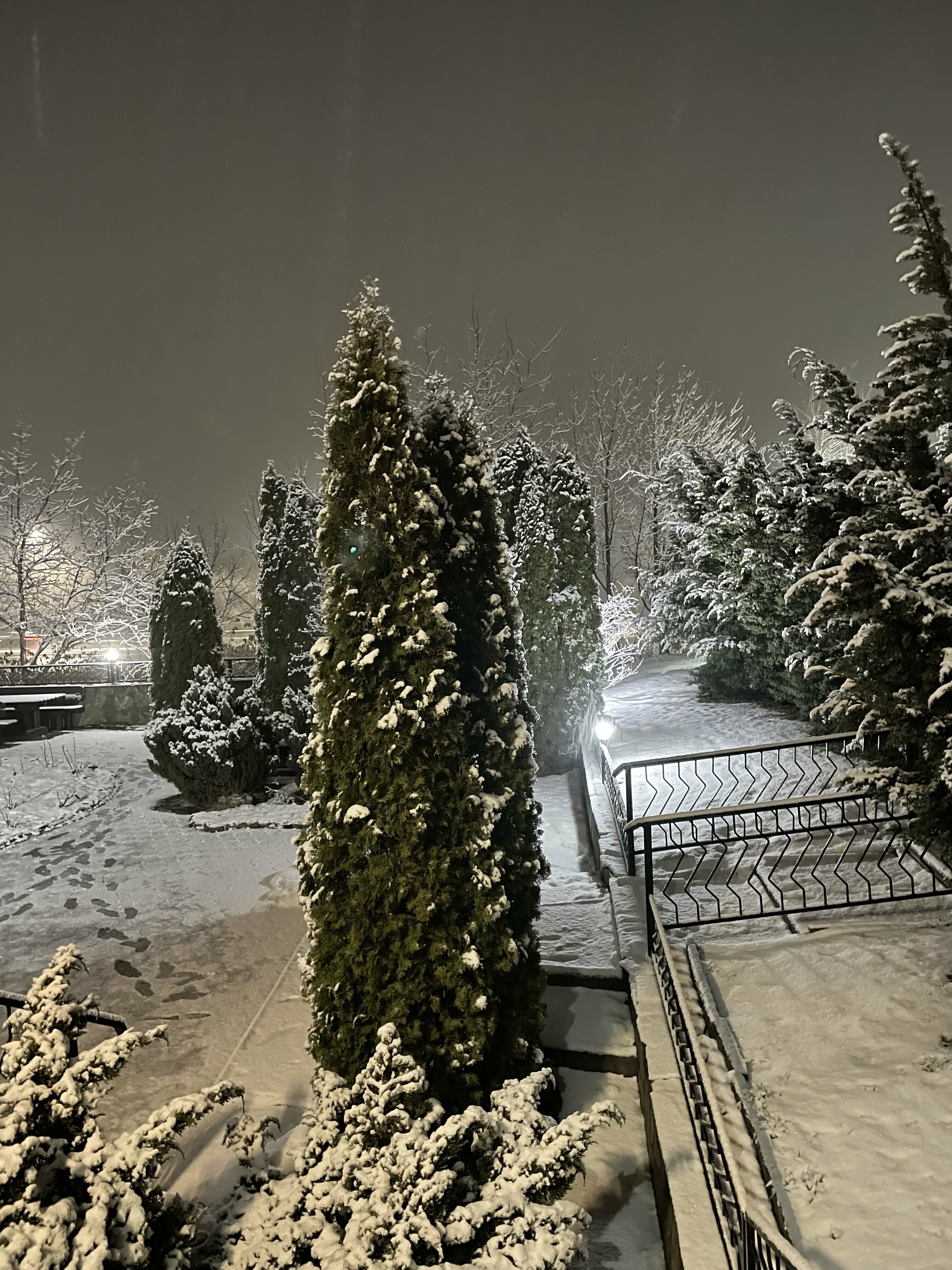 Фото Монест