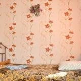 Фото Сафоново-Турист