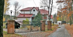 Лесная