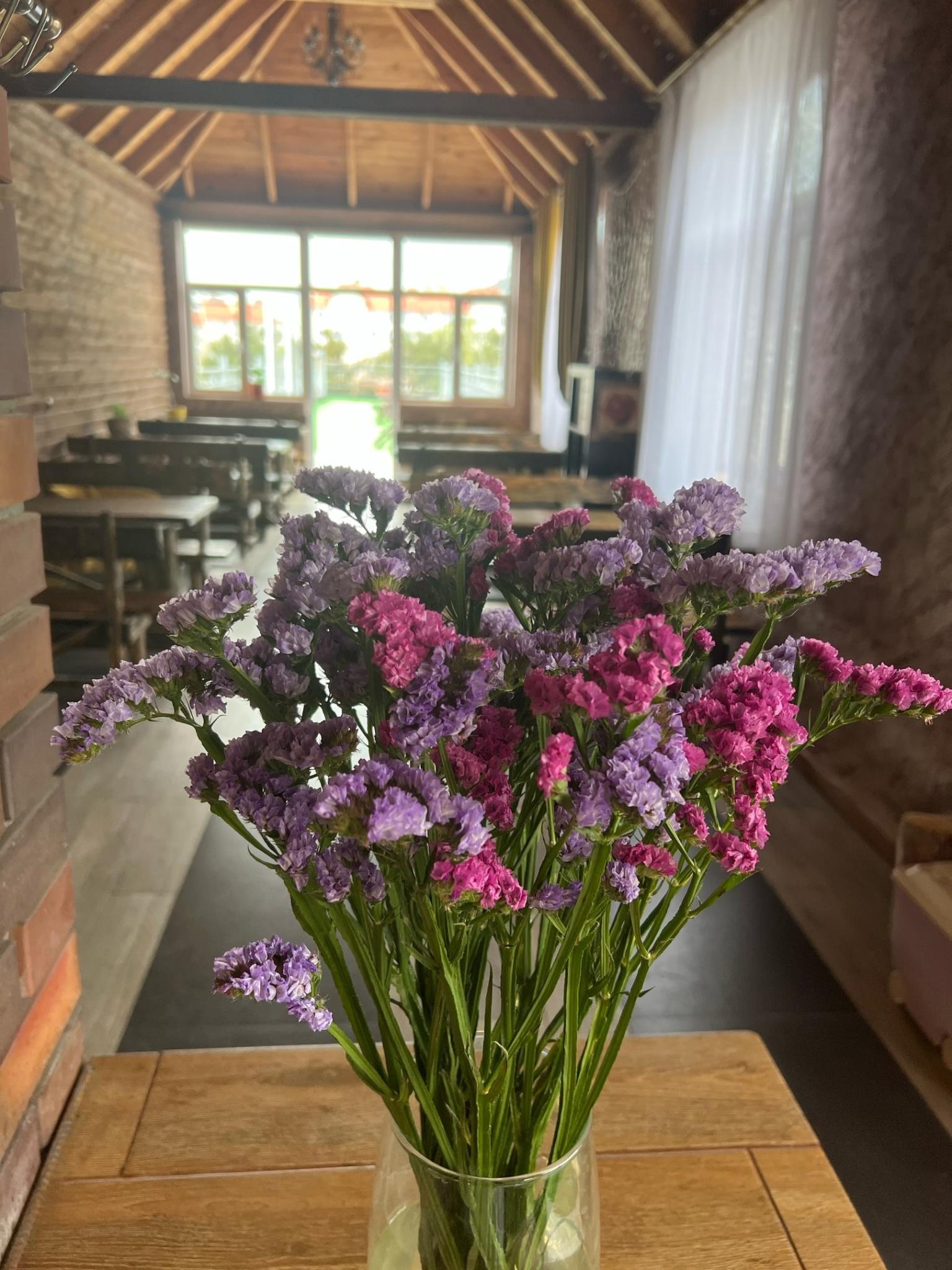 Фото Анамеро