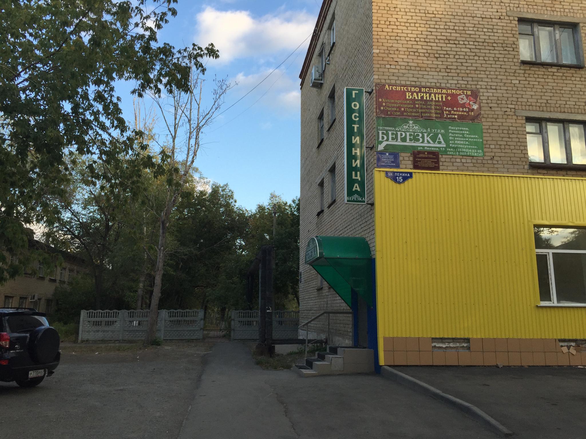 Фото Берёзка