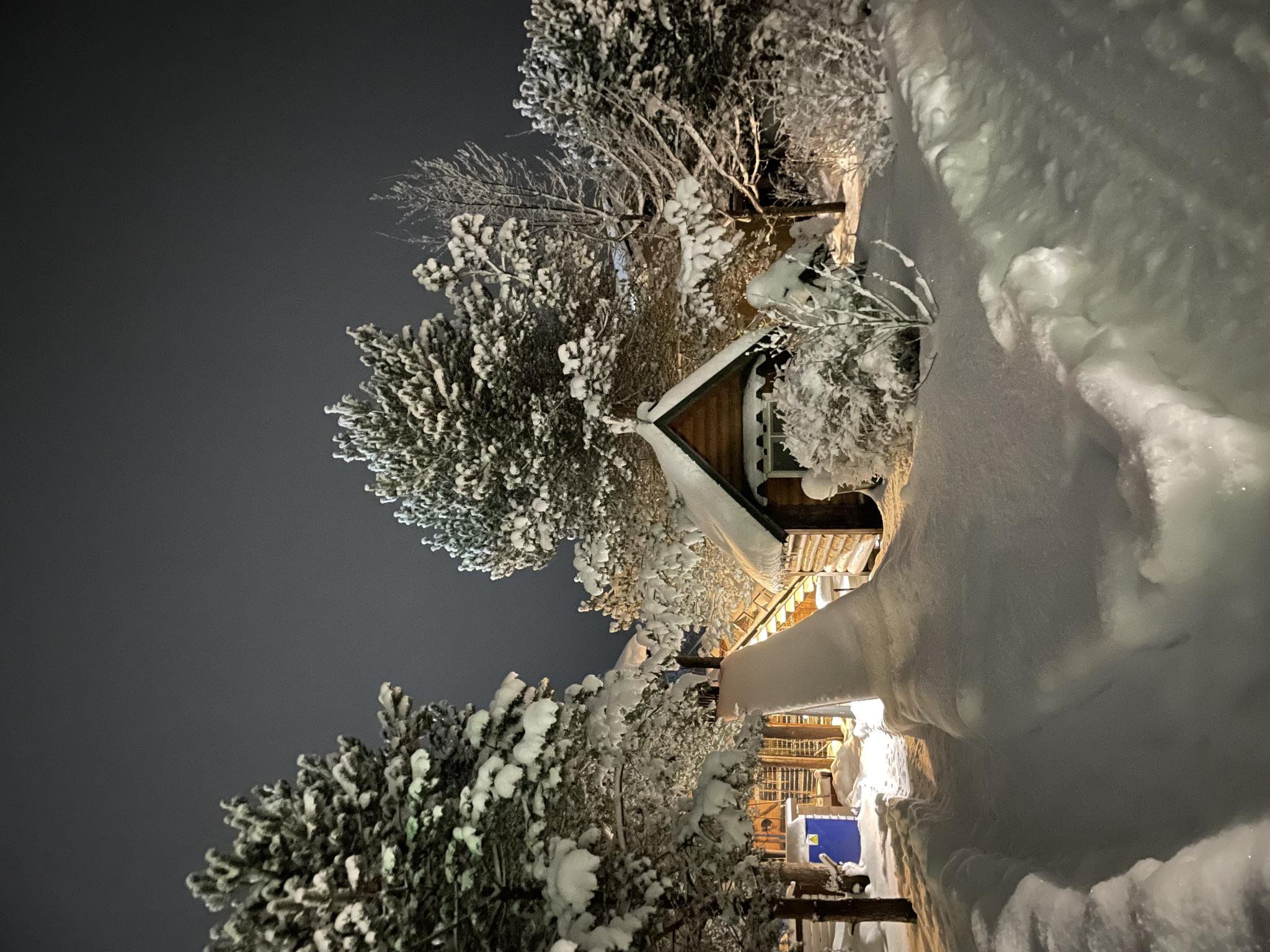 Фото Свирская