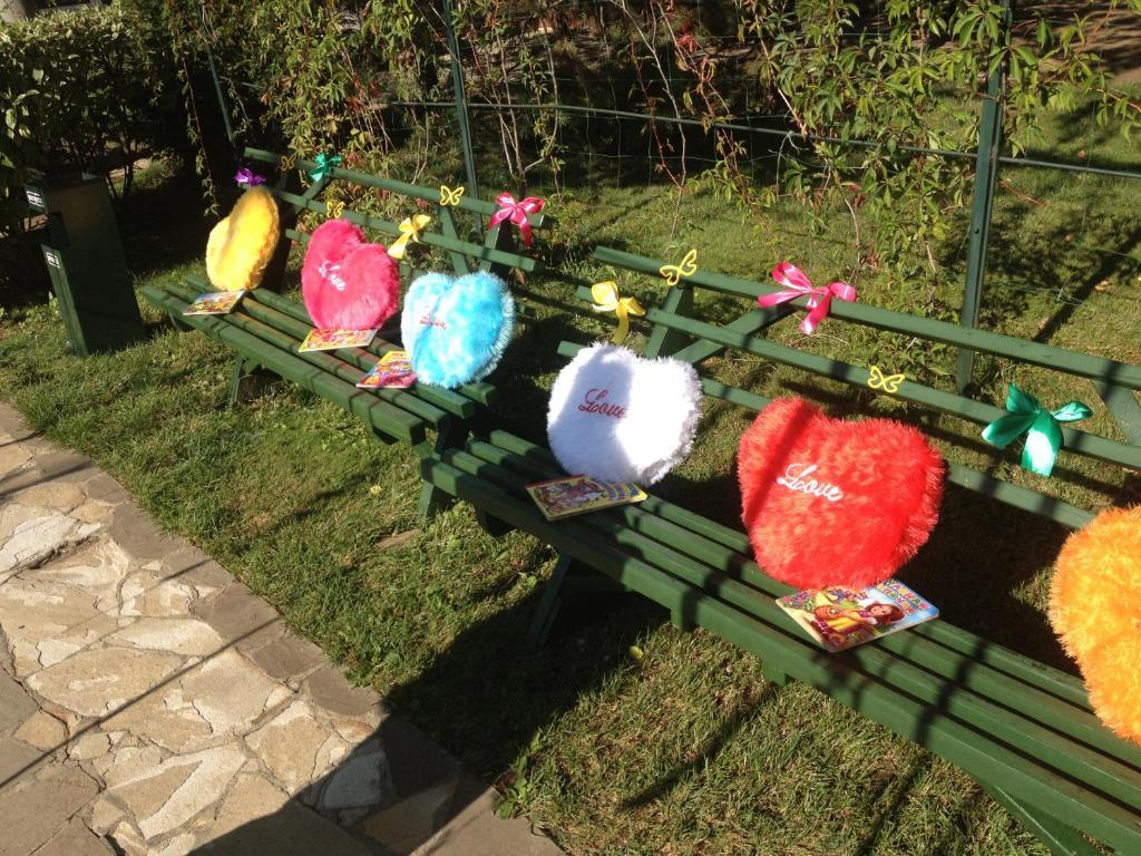 Фото Ваша Гавань