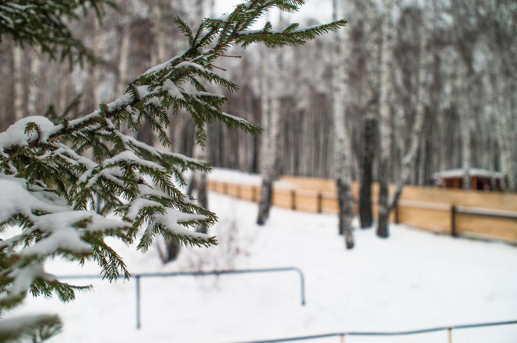 Фото 7 ключей